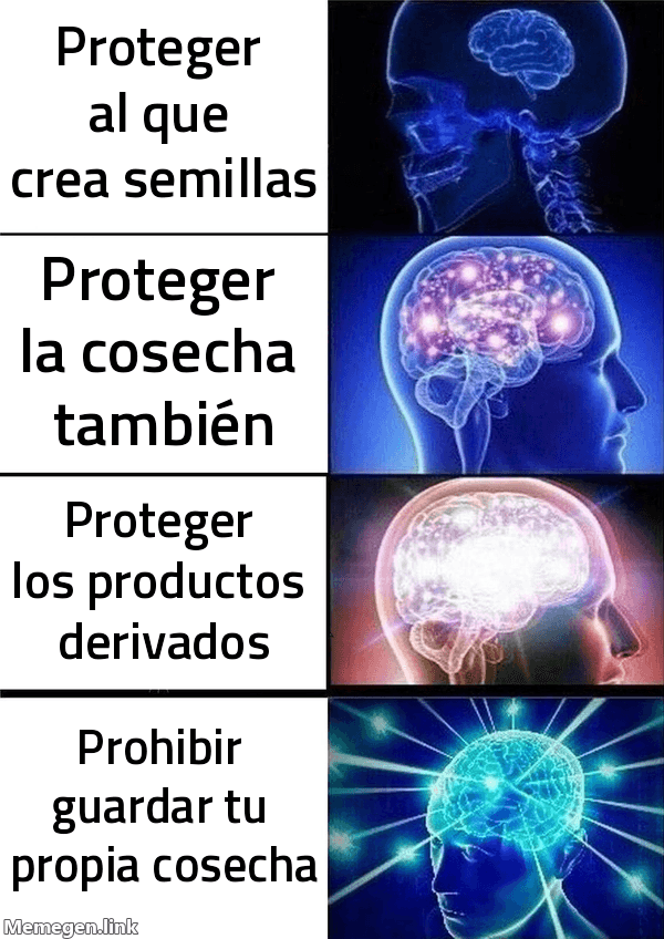 Meme Galaxy Brain: 'Proteger al que crea semillas' → 'Proteger la cosecha también' → 'Proteger los productos derivados' → 'Prohibir guardar tu propia cosecha'