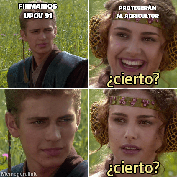 Meme Anakin y Padmé: 'Firmamos UPOV 91' — 'Protegerán al agricultor' — '¿cierto?' — '¿cierto?'