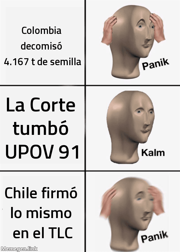 Meme Panik Kalm Panik: 'Colombia decomisó 4.167 t de semilla' — 'La Corte tumbó UPOV 91' — 'Chile firmó lo mismo en el TLC'