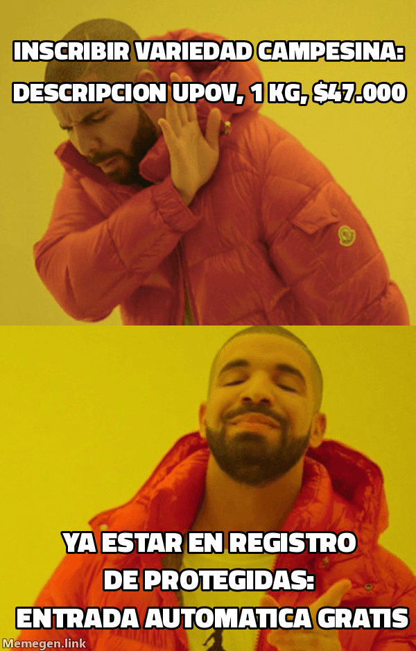 Meme Drake: rechaza 'Inscribir variedad campesina: descripción UPOV, 1 kg, $47.000' — aprueba 'Ya estar en Registro de Protegidas: entrada automática gratis'
